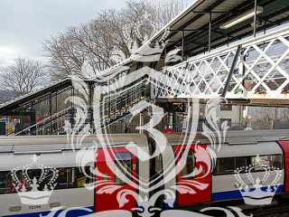 Woodside Park N12 domestic removals Woodside Park N12 domestic removals